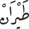 طَیْرَانْ