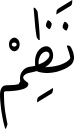 نَظِمْ